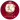Amaravati Royals